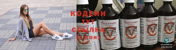 шишки Болохово