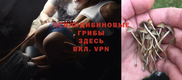 jwh Нефтекумск