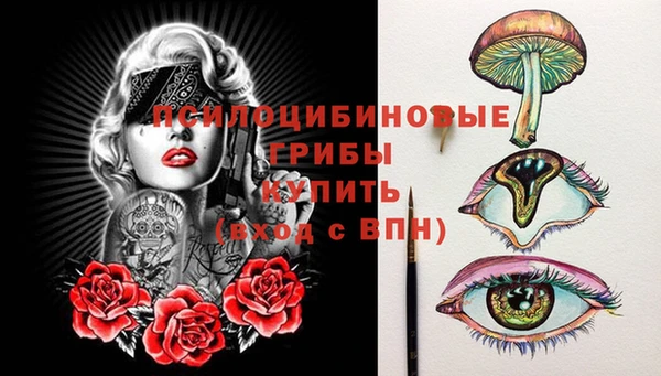 стаф Нефтегорск