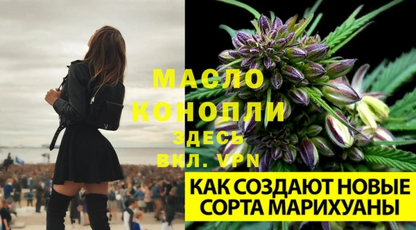 jwh Нефтекумск