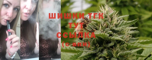 стафф Беломорск