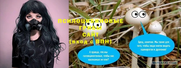 прущая мука Нея