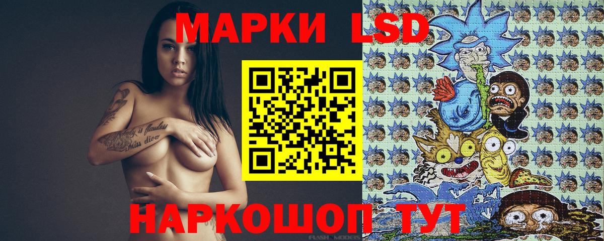 Благодарный  Марки N-bome  Вход с VPN  Марки N-bome 1,5мг 