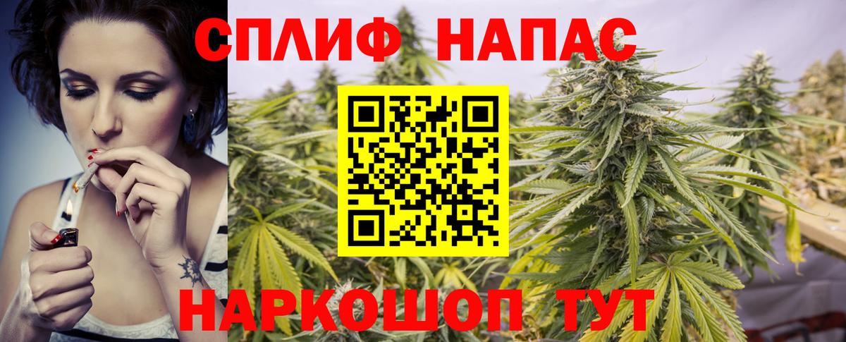 Шишки марихуана конопля Благодарный